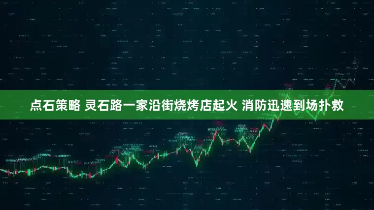 点石策略 灵石路一家沿街烧烤店起火 消防迅速到场扑救