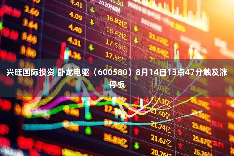 兴旺国际投资 卧龙电驱（600580）8月14日13点47分触及涨停板